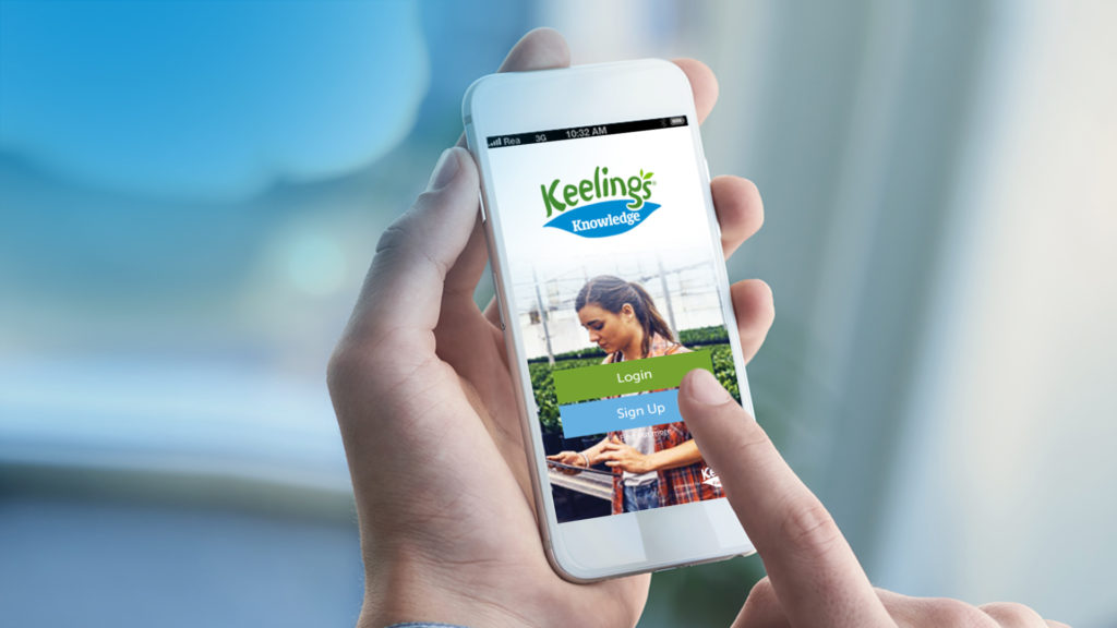 Keelings Knowledge ERP für Obst- und Gemüsebranche