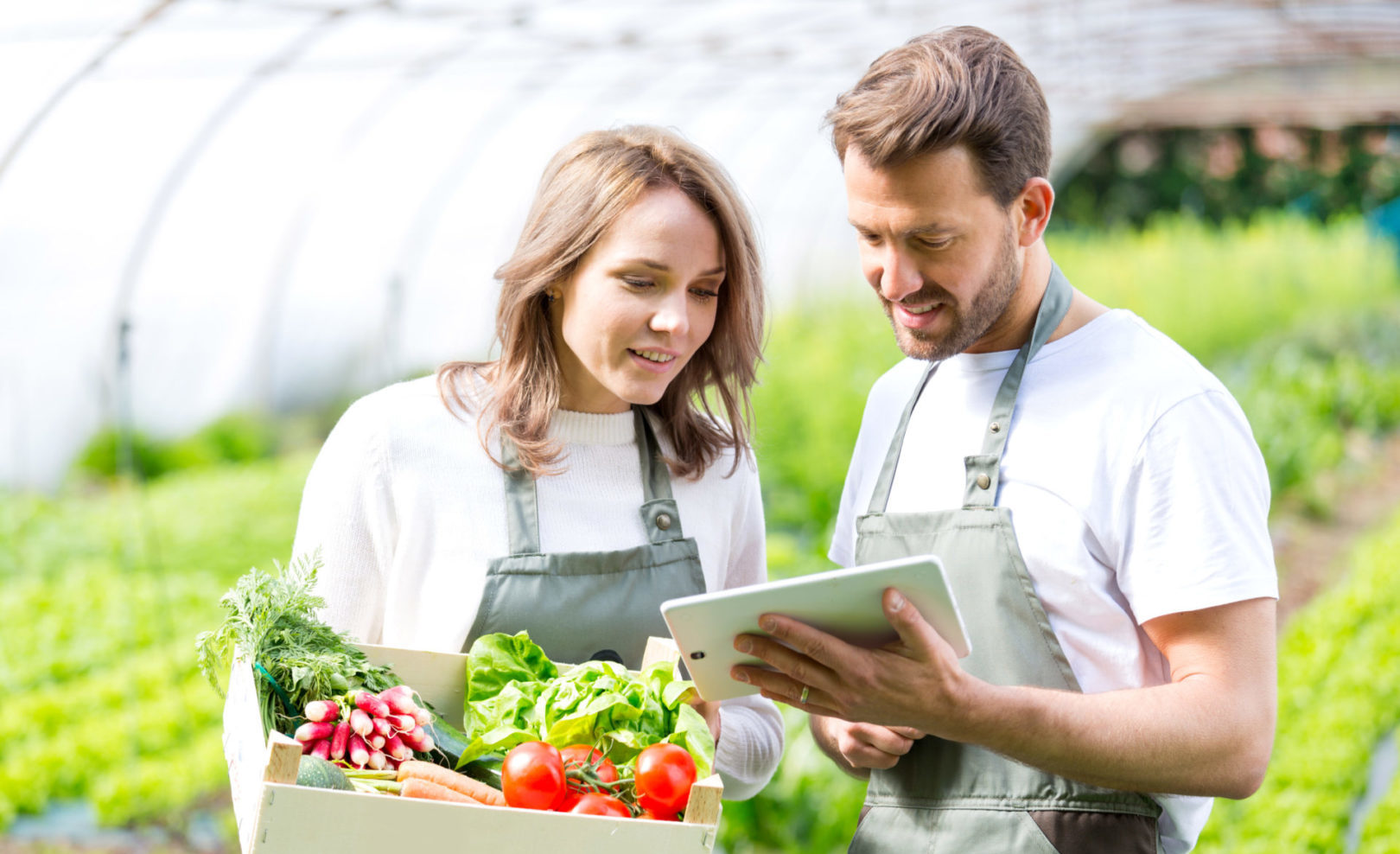 Farming 4.0 - Cloud computing with two farmers using a tablet